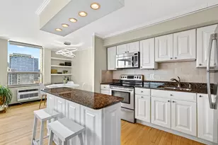 1355 N Sandburg Terrace, Chicago, IL 60610 - Photo 11
