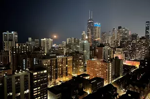 1355 N Sandburg Terrace, Chicago, IL 60610 - Photo 27