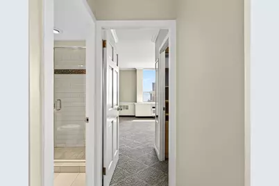 1355 N Sandburg Terrace #2902D, Chicago, IL 60610 - Photo 15