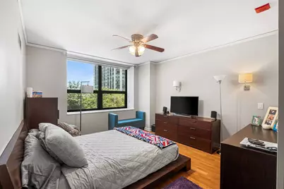 201 N Westshore Drive #604, Chicago, IL 60601 - Photo 9