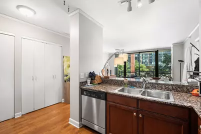 201 N Westshore Drive #604, Chicago, IL 60601 - Photo 7