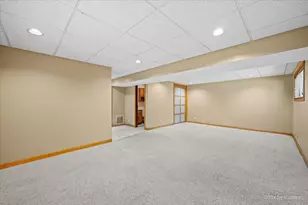 809 Stowell Ave, Streamwood, IL 60107 - Photo 17