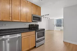 720 W Gordon Terrace, Chicago, IL 60613 - Photo 13