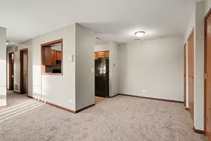 219 Uteg St, Crystal Lake, IL 60014 - Photo 5