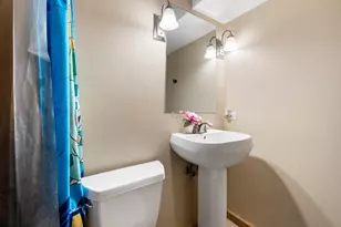 4306 Anthony Ln, Plainfield, IL 60586 - Photo 35