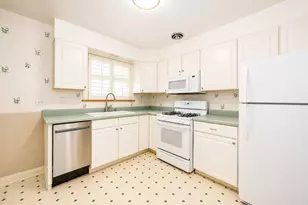 408 S Albert St, Mount Prospect, IL 60056 - Photo 19