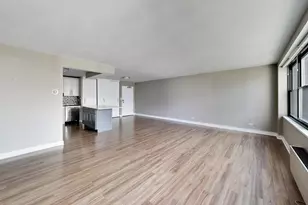 850 N Dewitt Pl, Chicago, IL 60611 - Photo 7