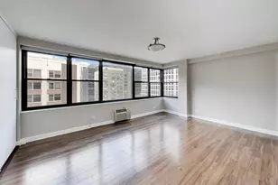 850 N Dewitt Pl, Chicago, IL 60611 - Photo 19
