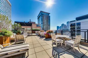 850 N Dewitt Pl, Chicago, IL 60611 - Photo 27