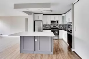 850 N Dewitt Pl, Chicago, IL 60611 - Photo 5