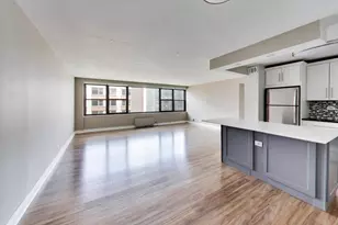 850 N Dewitt Pl, Chicago, IL 60611 - Photo 9