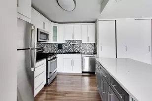 850 N Dewitt Pl, Chicago, IL 60611 - Photo 13