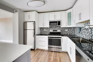 850 N Dewitt Pl, Chicago, IL 60611 - Photo 11