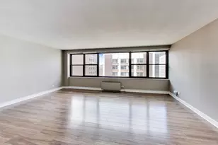850 N Dewitt Pl, Chicago, IL 60611 - Photo 3