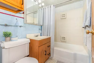 308 Sheldon Avenue, Downers Grove, IL 60515 - Photo 9