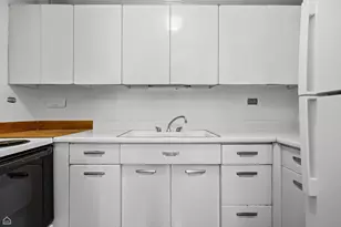 340 W Diversey Pkwy, Chicago, IL 60657 - Photo 5