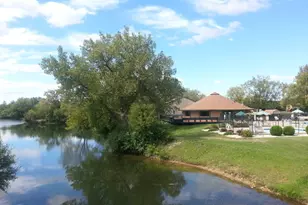 168 Fossil Cove Ln, Wilmington, IL 60481 - Photo 51