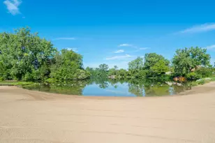 168 Fossil Cove Ln, Wilmington, IL 60481 - Photo 49