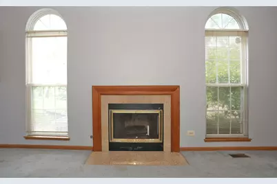 704 Shady Oaks Court, Elgin, IL 60120 - Photo 7