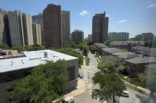 4800 S Chicago Beach Dr, Chicago, IL 60615 - Photo 9