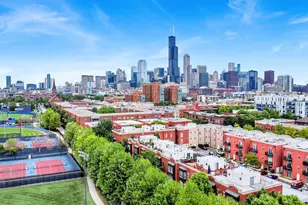 1033 W 14th Pl, Chicago, IL 60608 - Photo 39