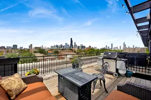 1033 W 14th Pl, Chicago, IL 60608 - Photo 27