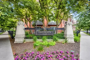1033 W 14th Pl, Chicago, IL 60608 - Photo 43