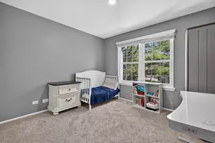 197 Rob Roy Ct, Schaumburg, IL 60194 - Photo 15