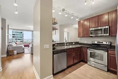 100 E 14th Street #1209, Chicago, IL 60605 - Photo 9