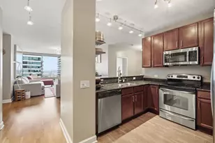 100 E 14th St, Chicago, IL 60605 - Photo 9