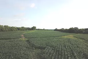 19304 Streit Rd, Harvard, IL 60033 - Photo 1