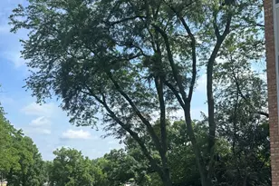 5811 Oakwood Dr, Lisle, IL 60532 - Photo 21
