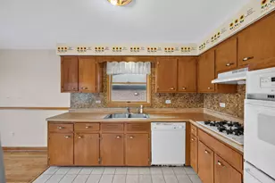 13157 S Green Bay Ave, Chicago, IL 60633 - Photo 11