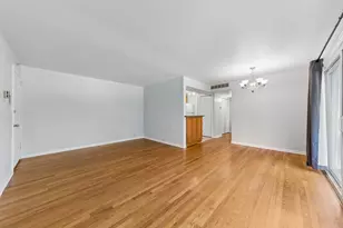 10111 Old Orchard Ct, Skokie, IL 60076 - Photo 3