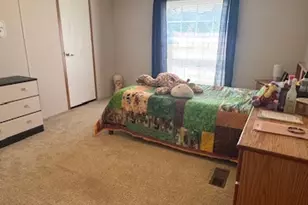 15165 N Concordia Ln, Chicago, IL 62898 - Photo 25