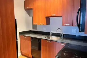 732 W Bittersweet Pl, Chicago, IL 60613 - Photo 3