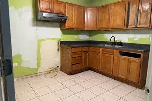 2332 W 24th Pl, Chicago, IL 60608 - Photo 27