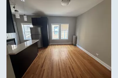 838 E 53rd Street #2W, Chicago, IL 60615 - Photo 5