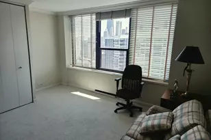 1560 N Sandburg Terrace, Chicago, IL 60610 - Photo 23