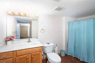 12910 W 159th St, Homer Glen, IL 60491 - Photo 13