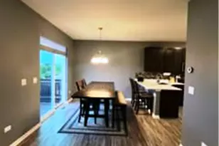 24813 McCormick Way, Manhattan, IL 60442 - Photo 9