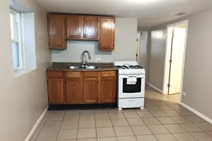 3643 S Hermitage Ave, Chicago, IL 60609 - Photo 5