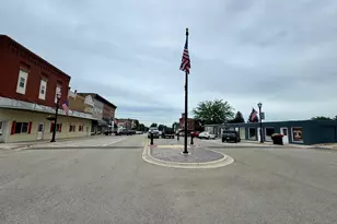 204 S Main St, Sheffield, IL 61361 - Photo 37