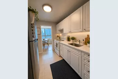 88 W Schiller Street #406, Chicago, IL 60610 - Photo 9