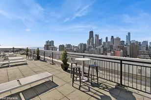 88 W Schiller St, Chicago, IL 60610 - Photo 17