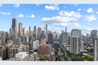 88 W Schiller Street #406, Chicago, IL 60610 - Photo 19