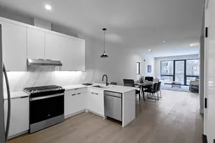 451 E Pershing Ave, Chicago, IL 60653 - Photo 17