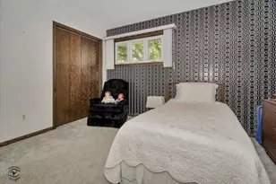 713 Oak Park Ave, Beecher, IL 60401 - Photo 19