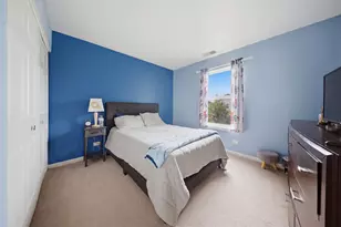 645 Spicebush Ln, Aurora, IL 60504 - Photo 21