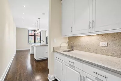 30 W Erie Street #501, Chicago, IL 60654 - Photo 19